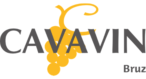 Logo Cavavin